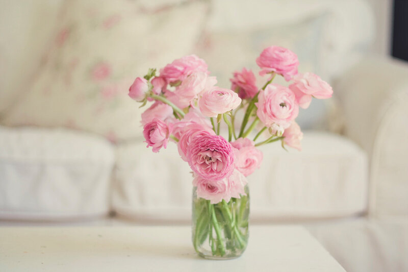 Pink Ranunculus Flowers — Serene, Photograph, Vase, Couch