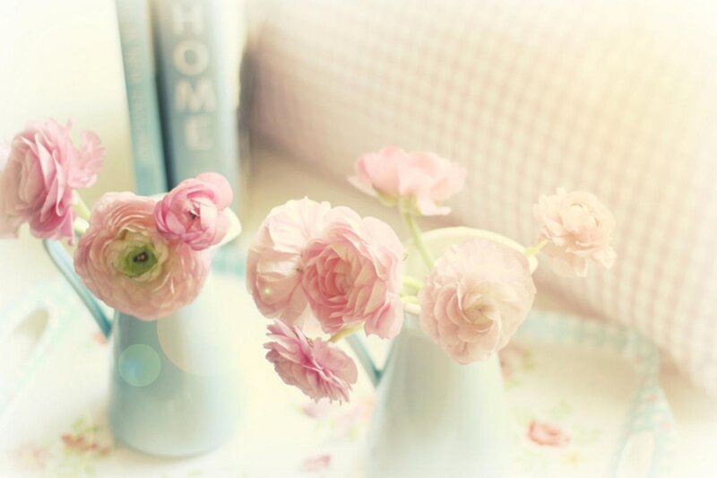 Pink Ranunculus Flowers — Serene, Photograph, Vases