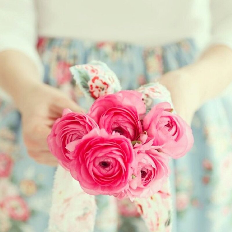 Pink Ranunculus Flowers — Soft, Photograph, Hands