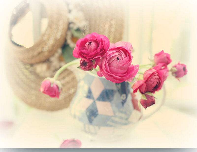 Pink Ranunculus Flowers — Soft, Photograph, Vase
