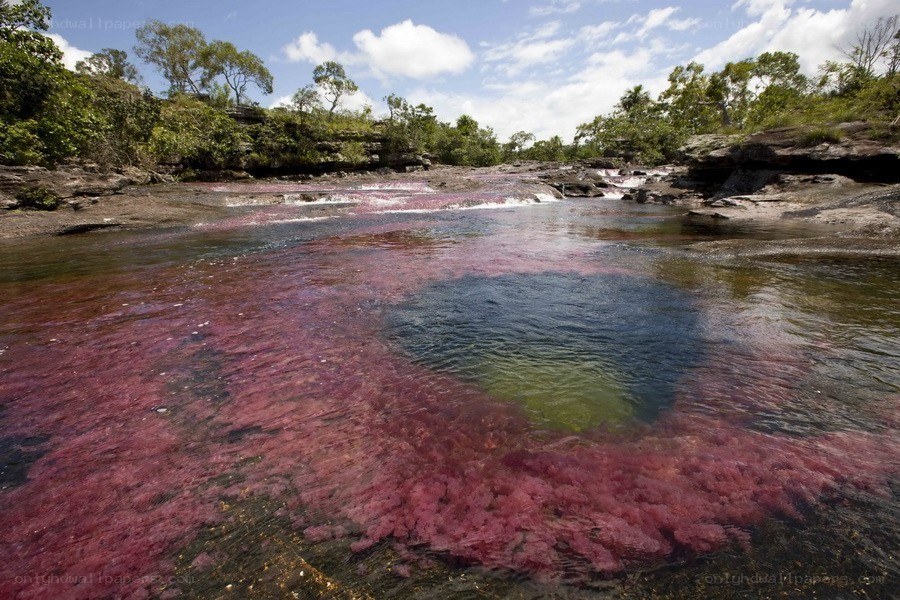 Pink river in Brazil