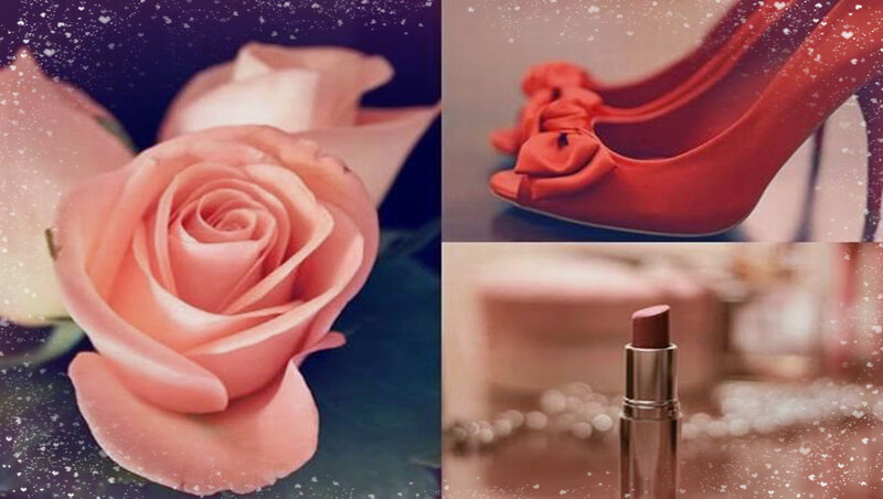 Pink Rose and Accessories