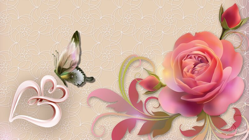 Pink Rose and Butterfly — Romantic