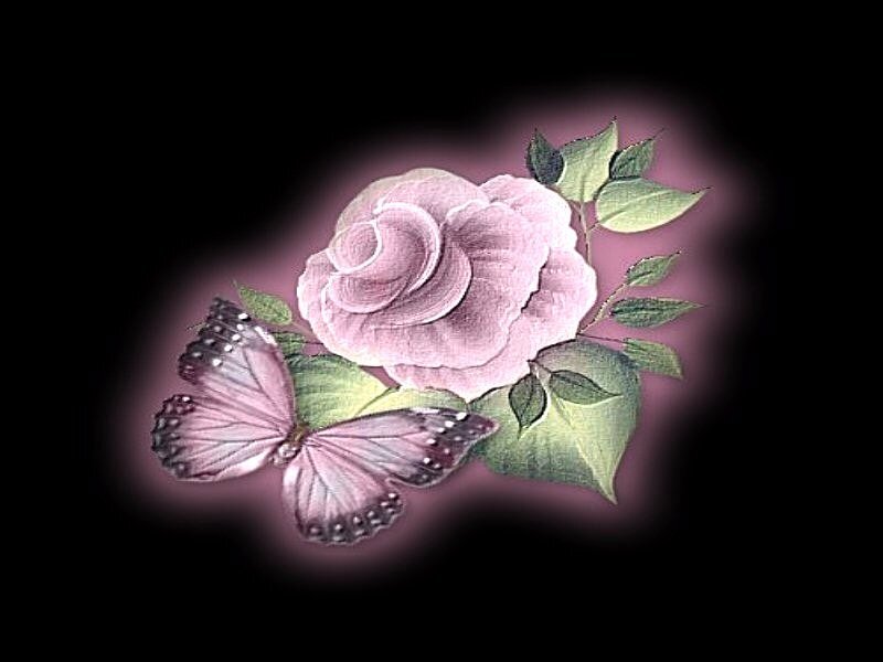 pink rose and butterfly