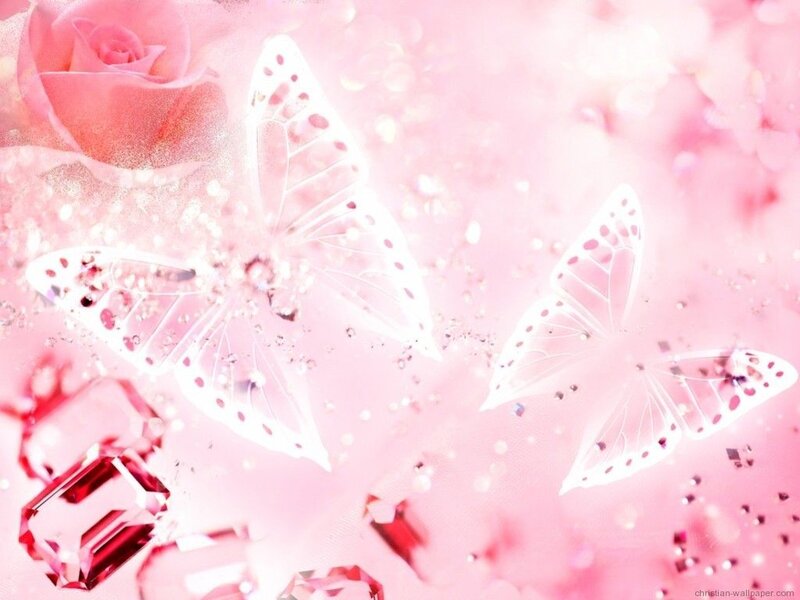 pink rose and butterfly wallpaper