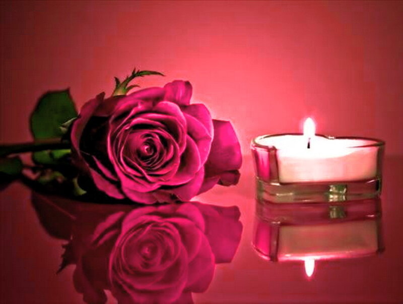 Pink Rose and Candle