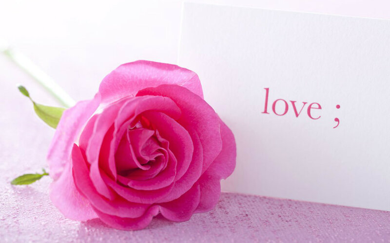 Pink Rose and Card