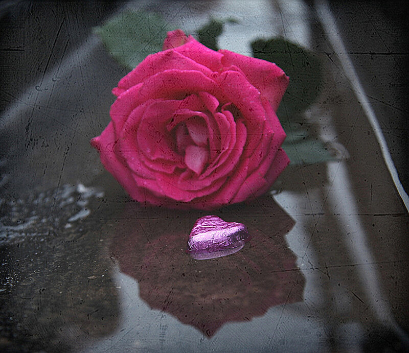 Pink Rose and Chocolate