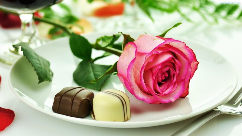 Pink Rose and Chocolates — Romantic, Photograph, Plate