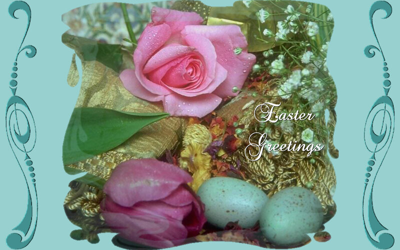 Pink Rose and Eggs — Festive