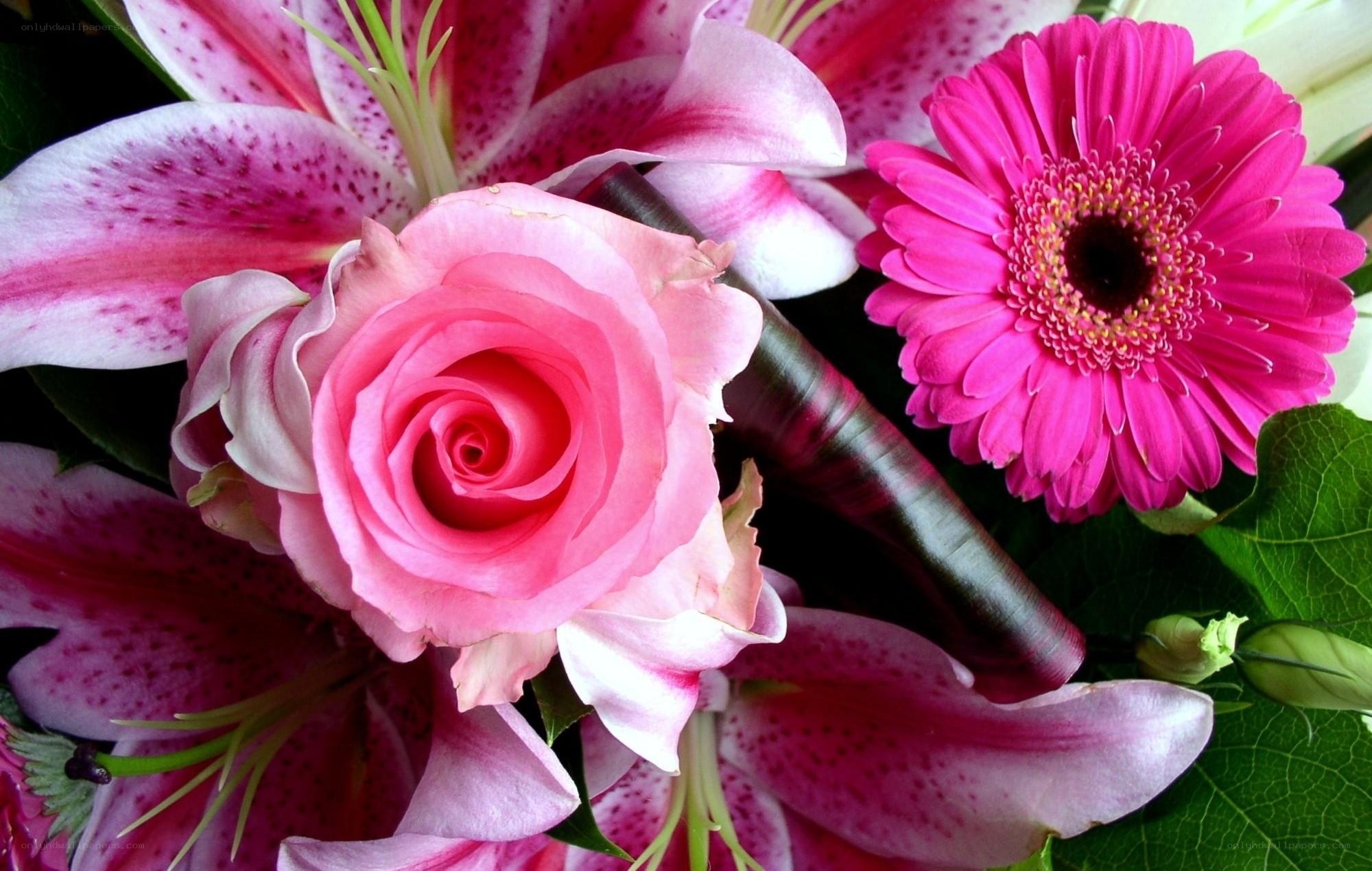 Pink rose and flower bouquet