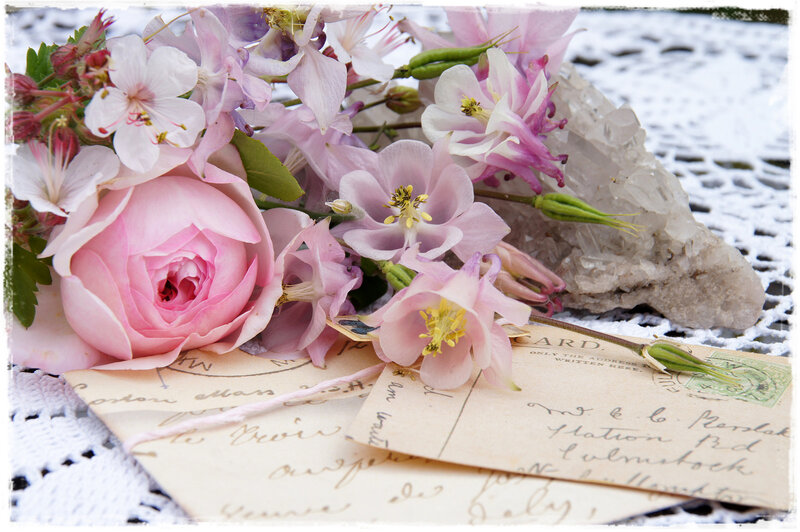 Pink Rose and Flowers