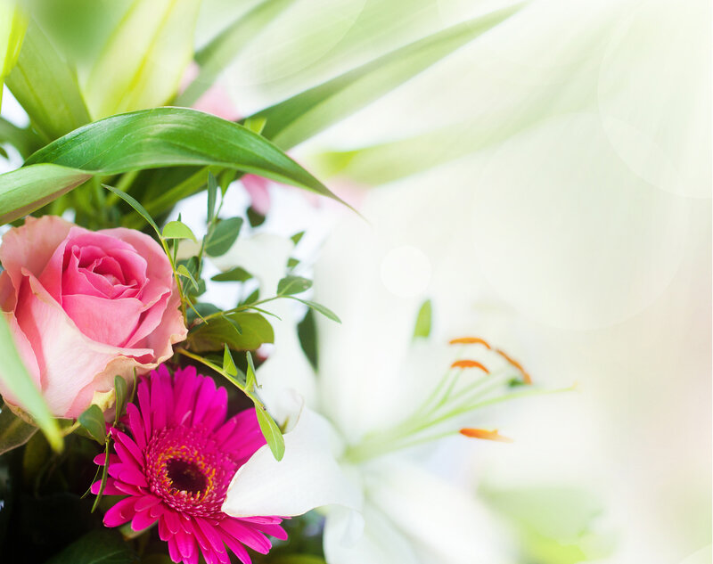 Pink Rose and Gerbera