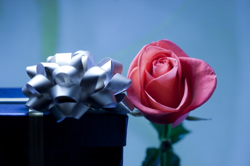Pink Rose and Gift Box — Blue