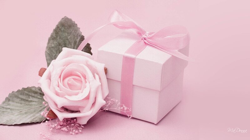 Pink Rose and Gift Box — Calm