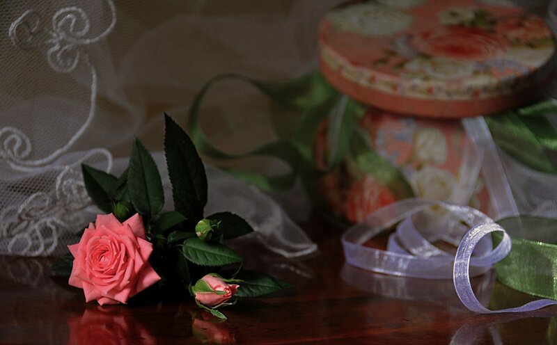 Pink Rose and Gift Box — Serene, Photograph