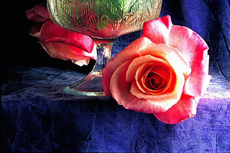 Pink Rose and Glass Bowl