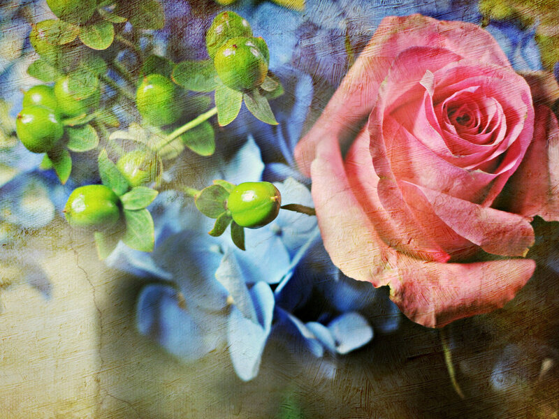 Pink Rose and Green Berries