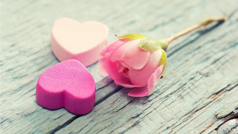 Pink Rose and Heart Shapes