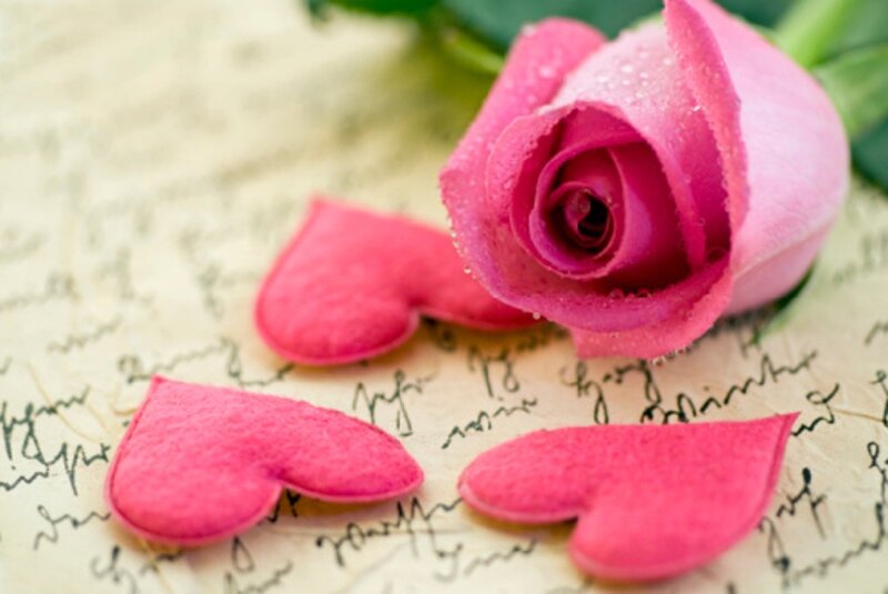 Pink Rose and Hearts