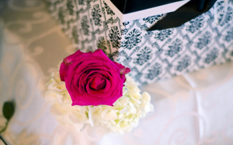 Pink Rose and Hydrangea