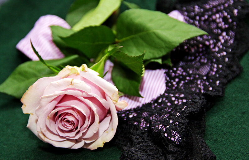 Pink Rose and Lace