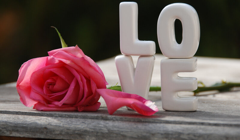 Pink Rose and Love Letters