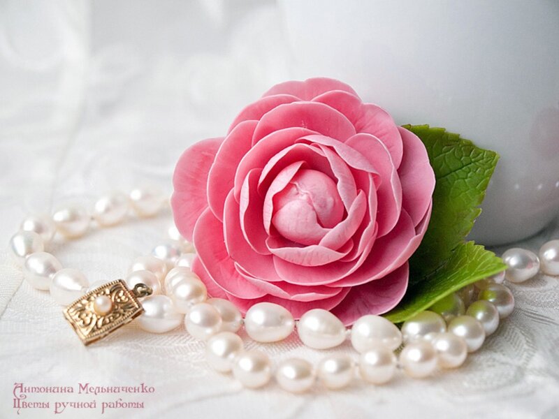 Pink Rose and Pearls