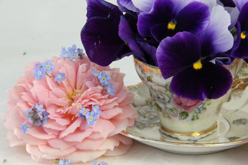 Pink Rose and Purple Pansies