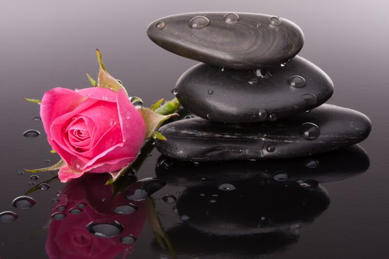Pink Rose and Stones — Black