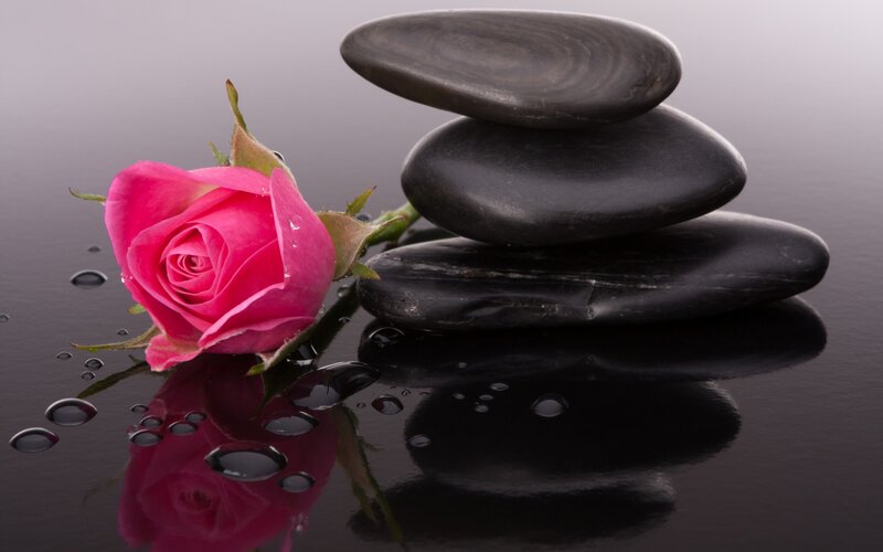 Pink Rose and Stones