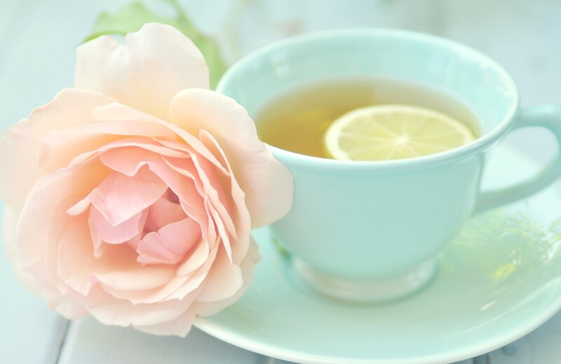 Pink Rose and Tea Cup — Serene