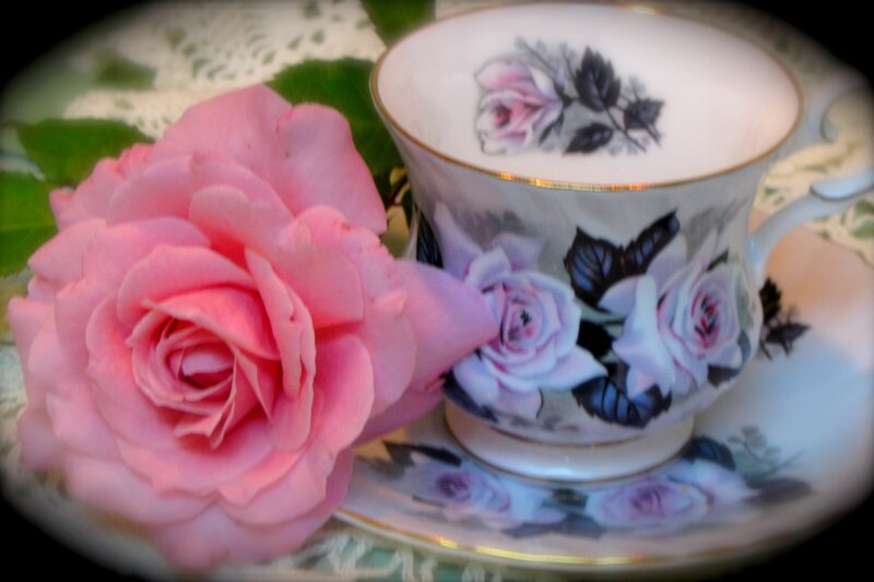 Pink Rose and Teacup — Serene, Photograph, Saucer, Doily
