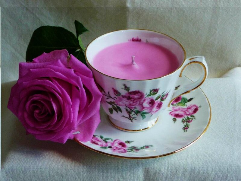 Pink Rose and Teacup — Serene
