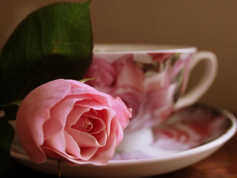 Pink Rose and Teacup
