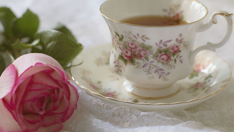 Pink Rose and Teacup — White, Serene