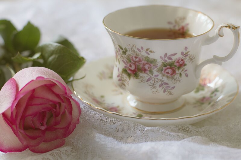 Pink Rose and Teacup — White