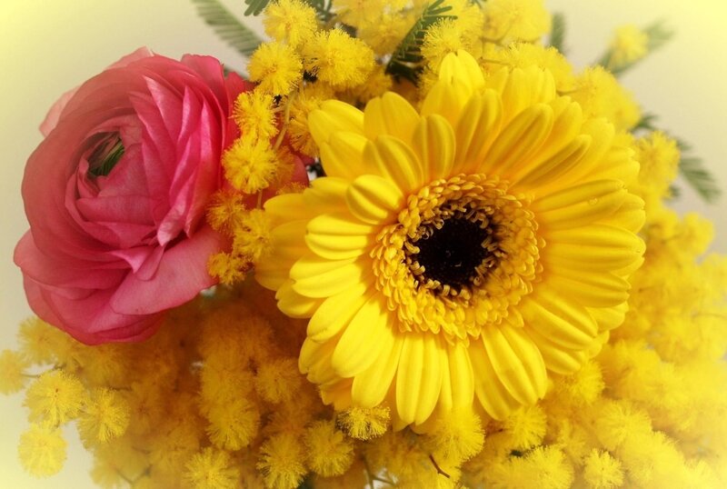 Pink Rose and Yellow Daisy
