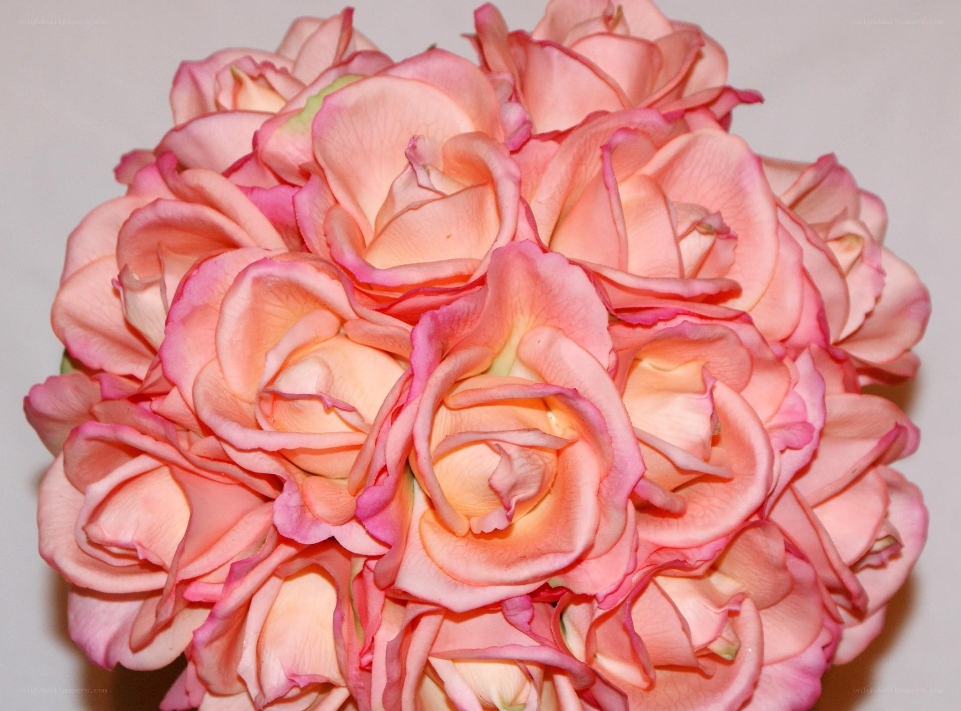 pink rose bouquet