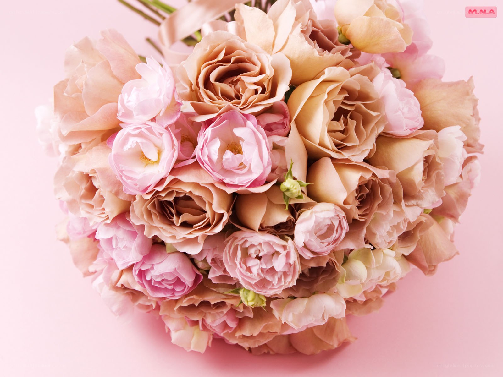 Pink rose bouquet