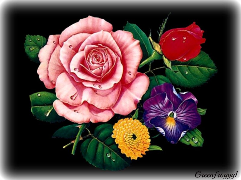 Pink Rose Bouquet — Calm, Illustration, Red Rose
