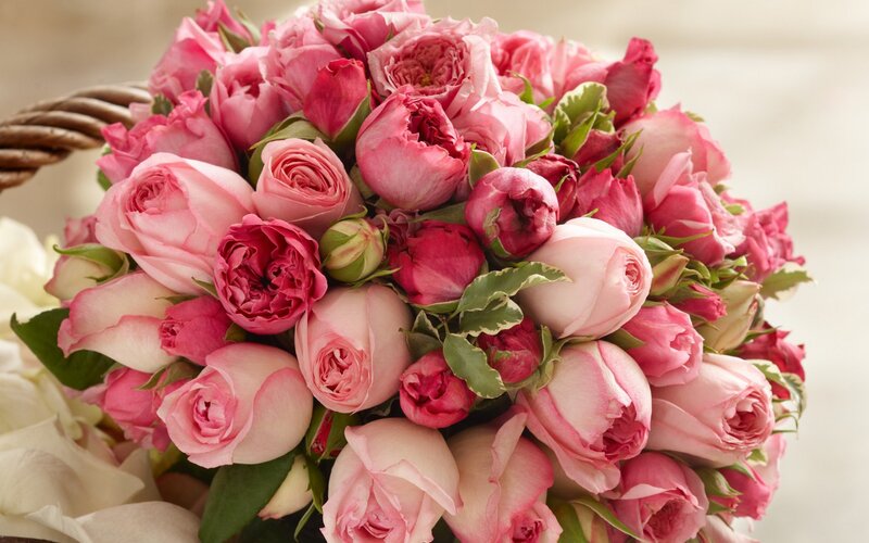 Pink Rose Bouquet — Calm, Photograph, Basket