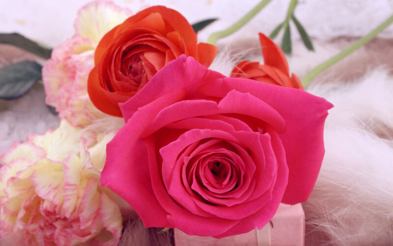 Pink Rose Bouquet — Calm, Photograph, Carnations