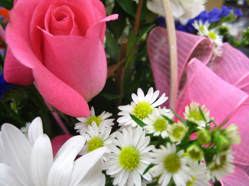 Pink Rose Bouquet — Calm, Photograph, Daisies, Ribbon