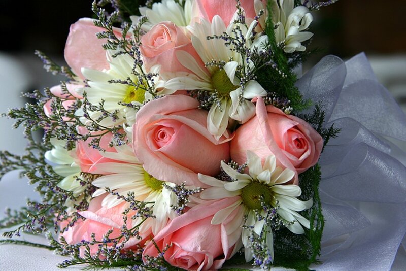 Pink Rose Bouquet — Calm, Photograph, Daisies