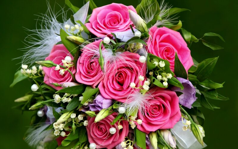 Pink Rose Bouquet — Calm, Photograph, Feathers
