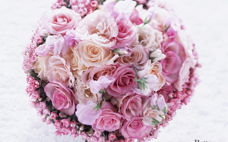 Pink Rose Bouquet — Calm, Photograph, Flowers, Greenery, White Background