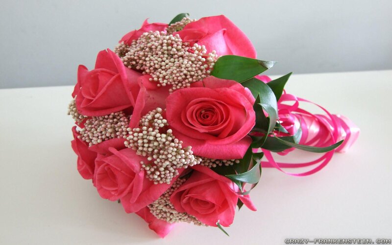 Pink Rose Bouquet — Calm, Photograph, Green Leaves, Ribbons