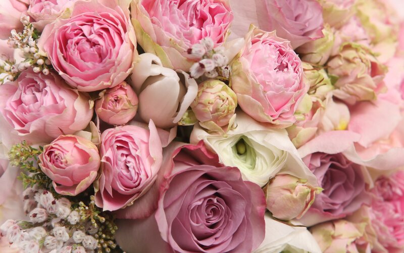 Pink Rose Bouquet — Calm, Photograph, Greenery