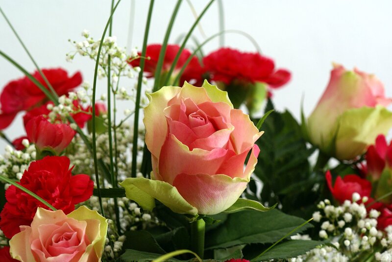 Pink Rose Bouquet — Calm, Photograph, Red Carnations